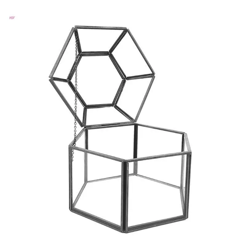 

Металлическая коробка-Террариум с откидной крышкой, органайзер для ювелирных изделий, прозрачный держатель для колец и ожерелий