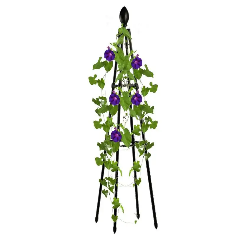 

Trellis For Climbing Plants Outdoor Plant Support Heavy Duty Garden Trellis Fence Planters Pea Fence Plants Trellis Support For