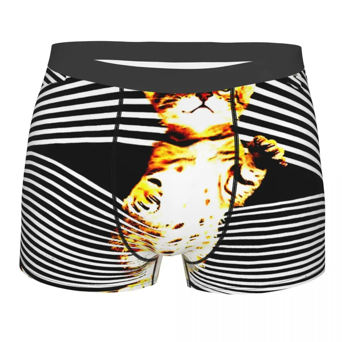 

Cheshire Cat Alice's Underpants Breathbale Panties Man Cute Cat Face Cutest Face Kitty Underwear Comfortable Shorts Boxer Briefs