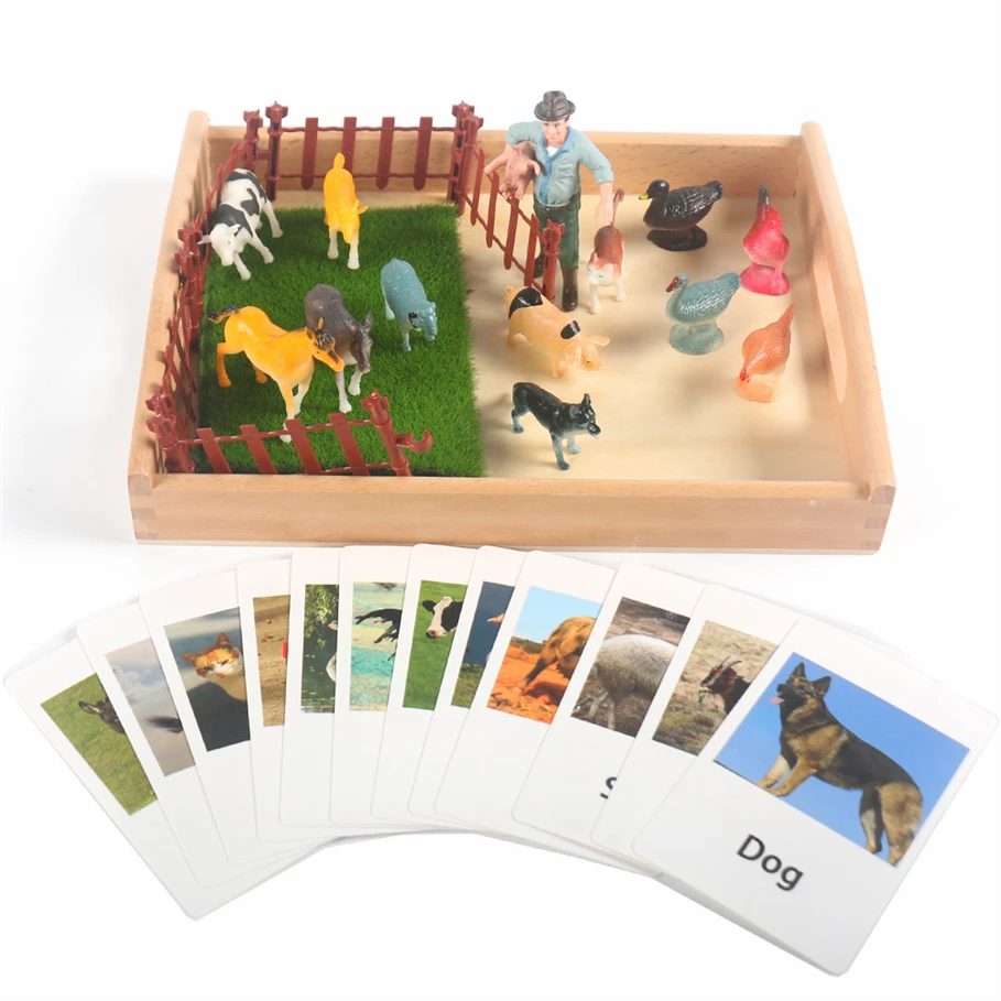 

Montessori Materials Language Material Matching Sensory Bin Montessori Toys For 3 Year Olds Teaching Aid Children Gift E86Y