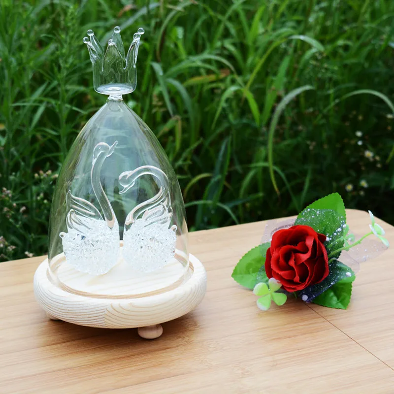 

Crown Top Glass Dome Vase Home Decorative Transparent Cover Log Base Wedding Live Prop DIY Friend Favor Gift