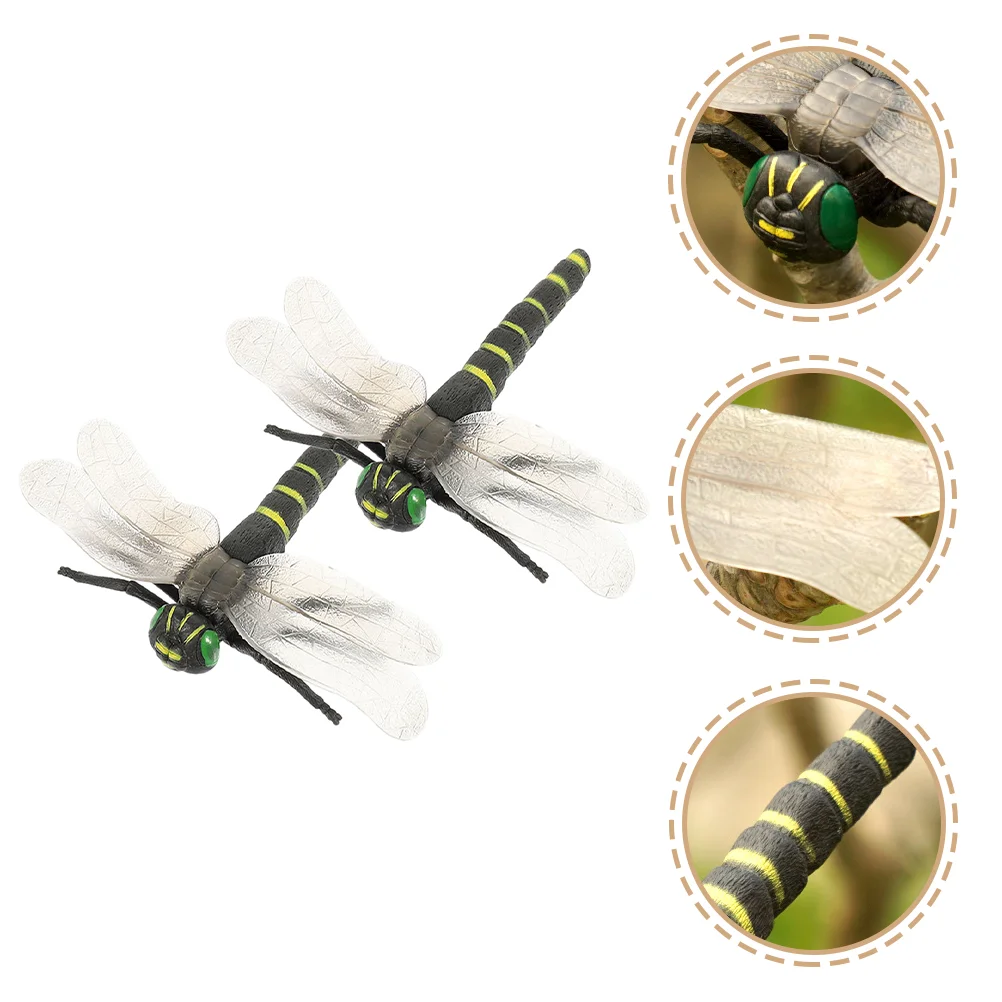 

Dragonflymodel Figurinefigure Insects Decor Ornament Simulation Plaything Animal Vivid Lifelike Animals Cognition Imitation