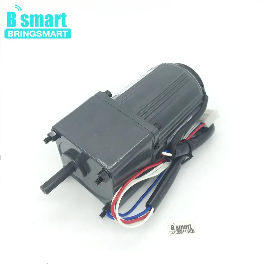 BringSmart 2M06GN-C Электрический двигатель переменного тока 6 Вт реверсивная