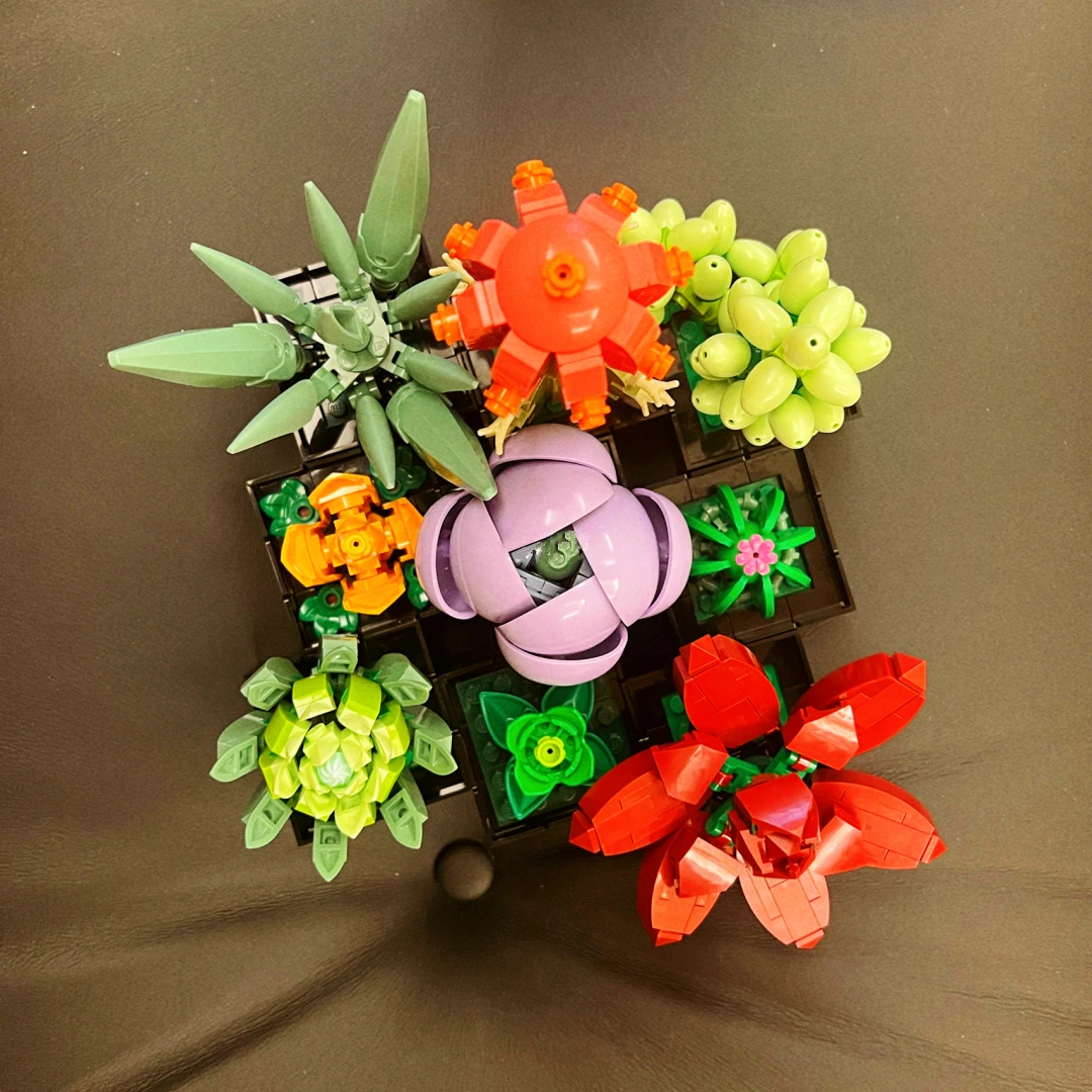 

10309 в наличии, 771 шт., суккуленты, растения, творческая ботаническая коллекция, идея для строительства, аксессуары для строительства, блоки, кирпичи, игрушки, подарки