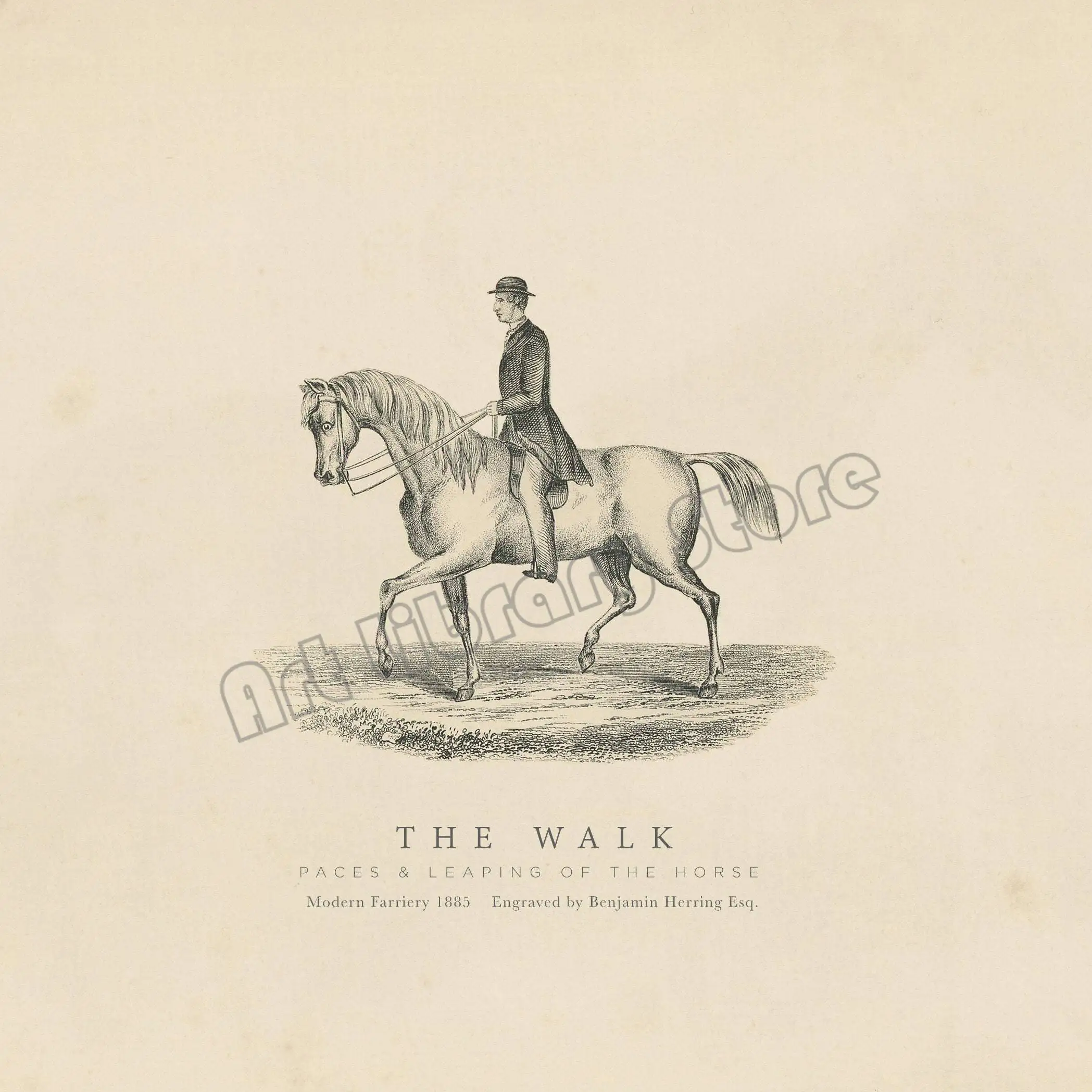 

Картина "Конная гонка", печать на холсте