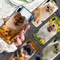 pomeranian cute dog phone case for xiaomi redmi note 7 8 9 11 i t s 10 a poco f3 x3 pro lite funda shell coque cover