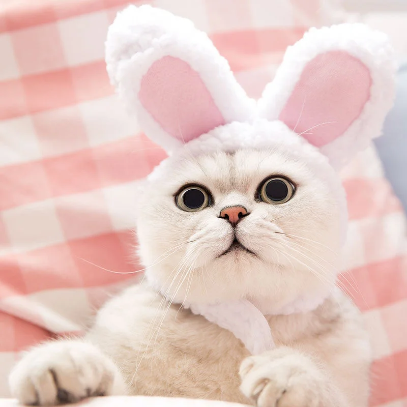 

Funny Cute Bunny Hat For Dogs Cats Warm Cap Adjustable Cosplay Hats Headgear Headband Pet Accessories Headwears
