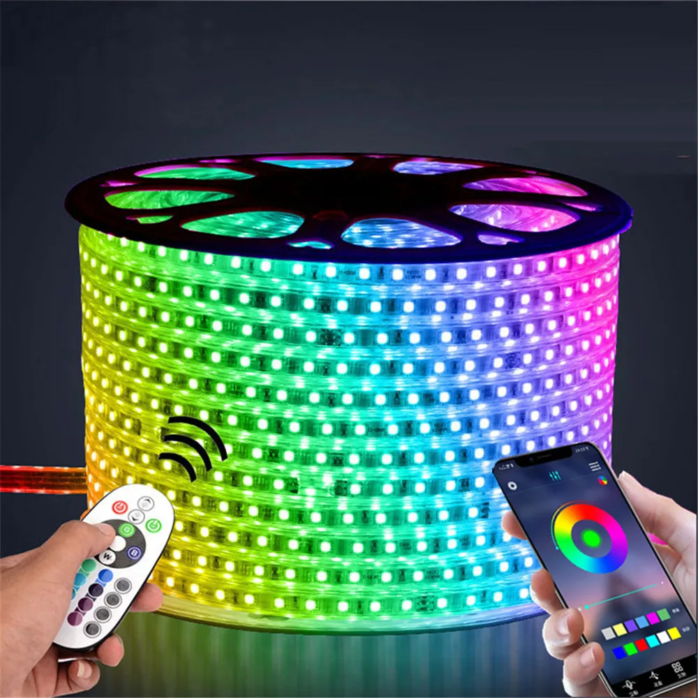 220V LED Strip Light 12V RGB SMD 5050 Tape Phone APP and Remote control Waterproof flexible lights Outdoor room decoration lamp