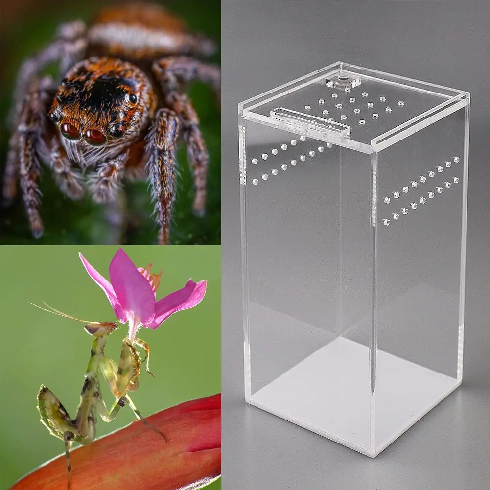 Ящик для разведения рептилий места домашнего животного эскимо акриловый чехол