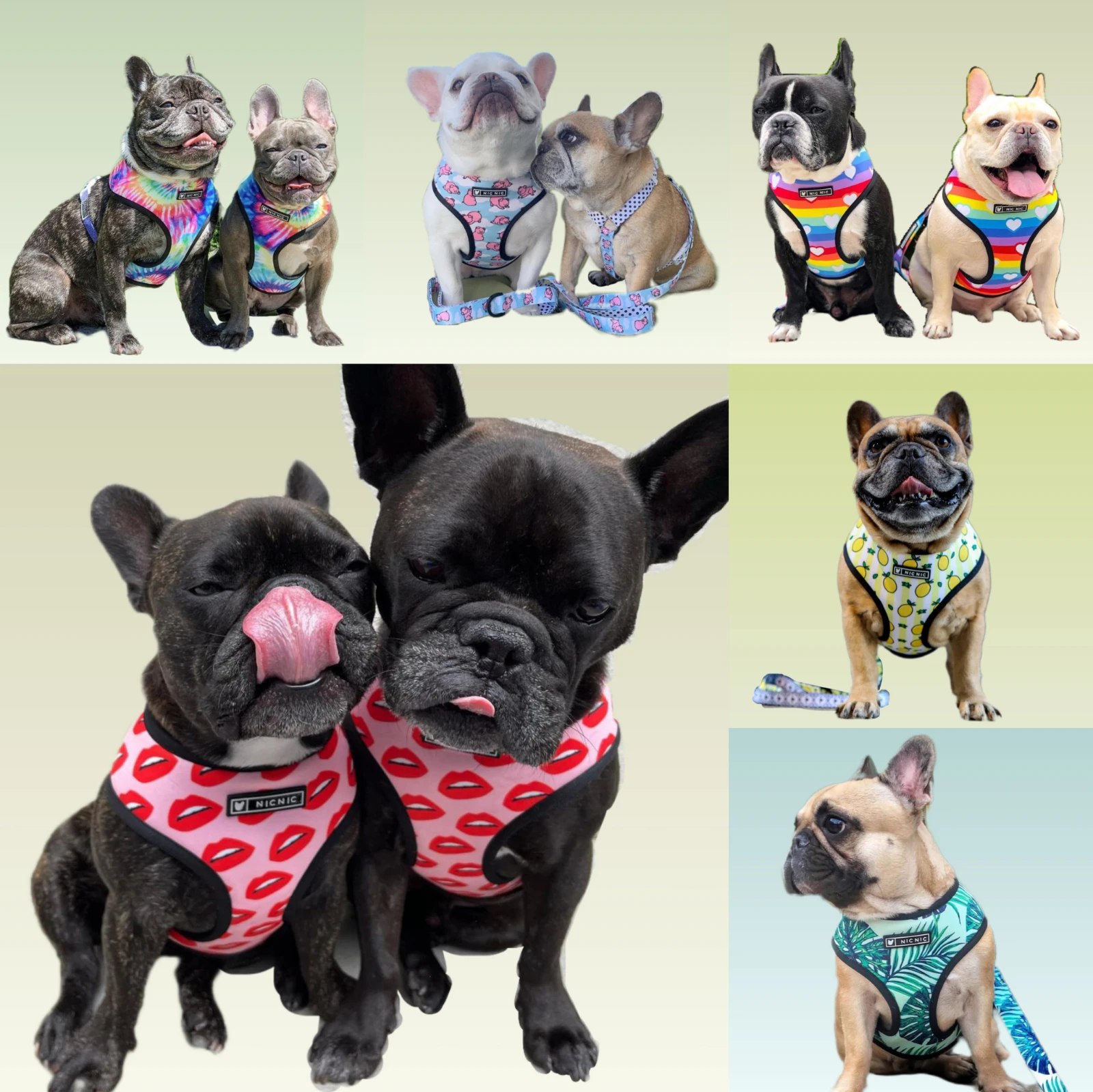 Luxury Fashion Pet Dog Harness Leash Set For Small Medium Dogs Leash French Bulldog Collar Chihuahua Dog Accessories For Yorkies