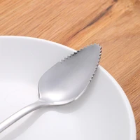 steel serrated stainless dessert edge grapefruit spoon thick 4pc spoon kitchen%ef%bc%8cdining bar
