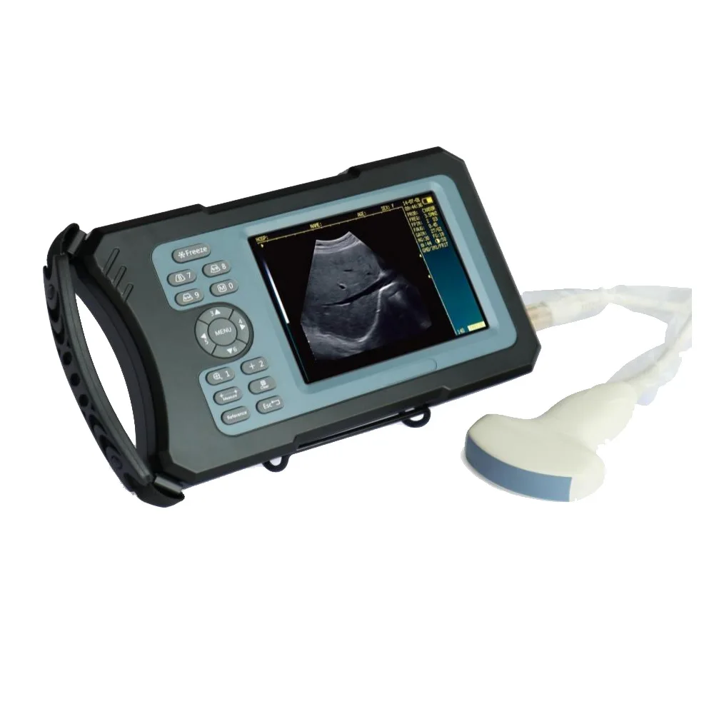 Ветеринарный B-ультразвуковой механический зонд для ультразвуковой машины овец