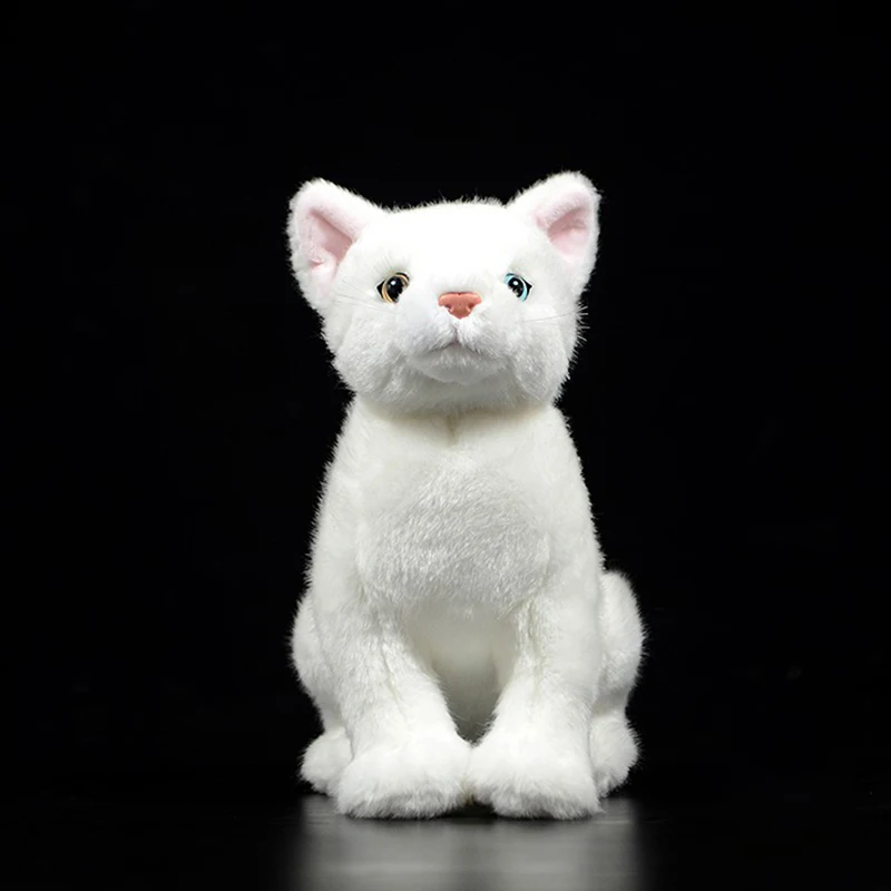 

Original real-life cute white cat children's gift soft stuffed plush toy realistic simulation animal children's doll
