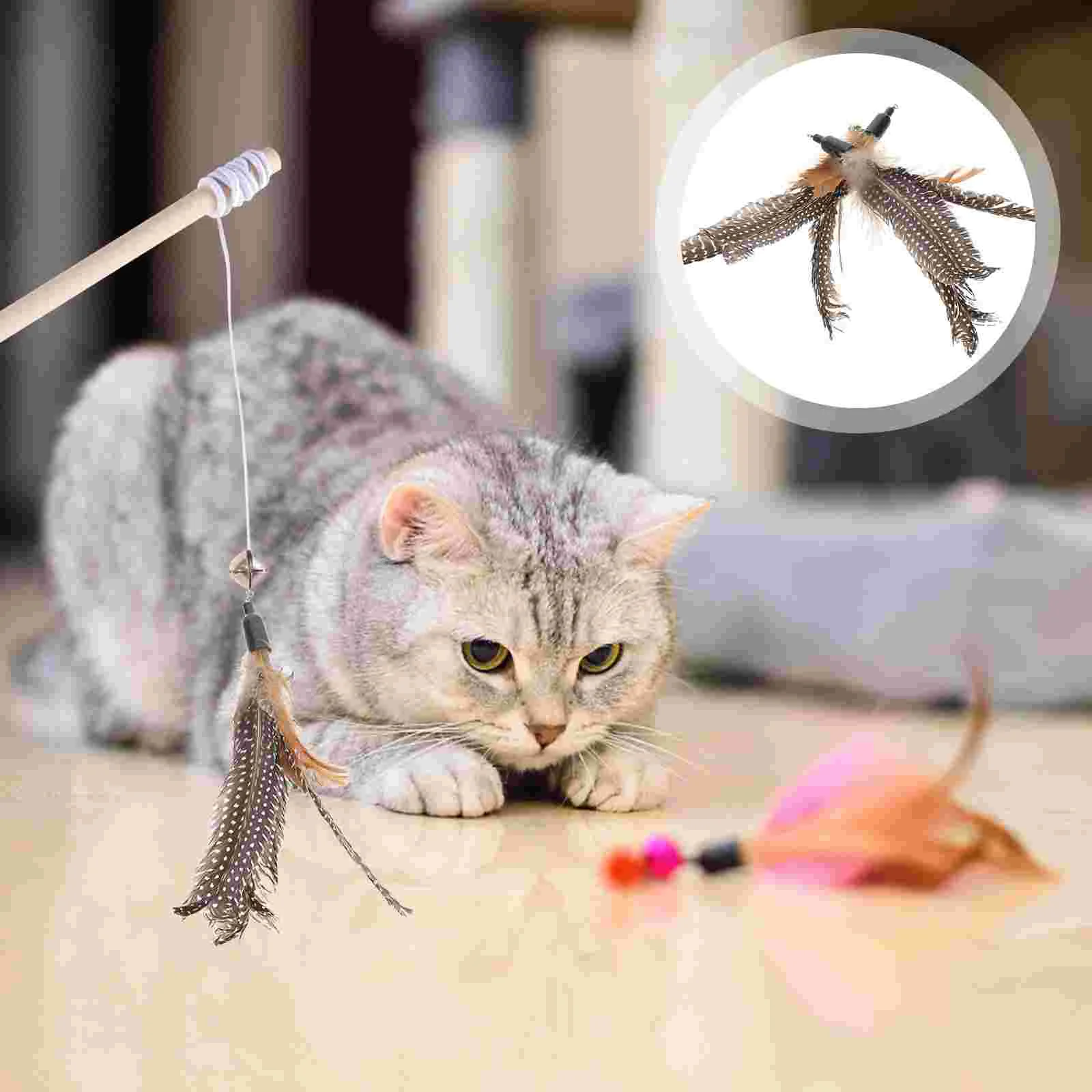 

8Pcs Interactive Cat Toys Wand Toys Teaser Wand Wand Cat Toy Cat Toy Wand Cat Wand Toys for Indoor Kitten