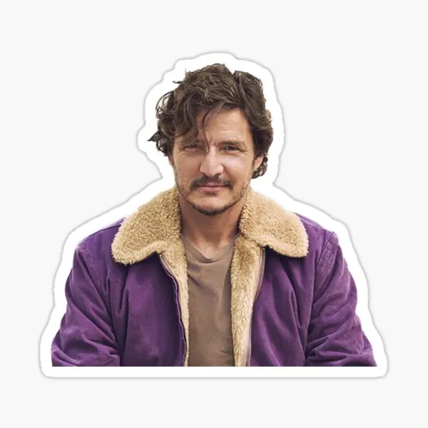 Pedro Pascal Purple Coat  10PCS Stickers for Wall Background Bumper Luggage Car Stickers Cute Window Room Laptop Living Room