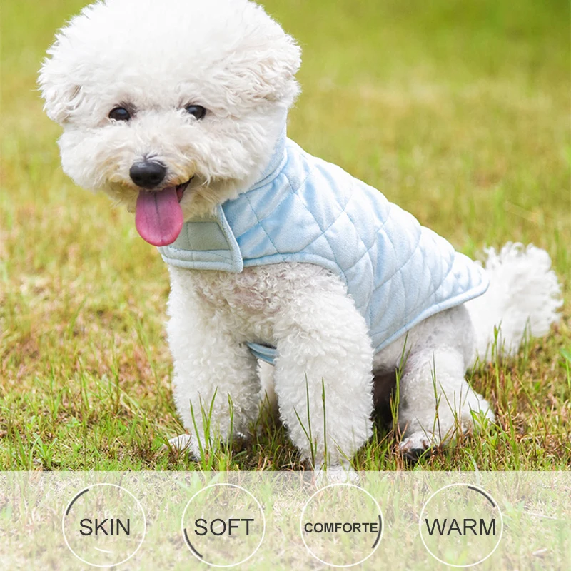 

Женская зимняя теплая одежда для собак, бархатная толстовка с круглым вырезом, комбинезон, разноцветная куртка для маленьких, средних и бол...