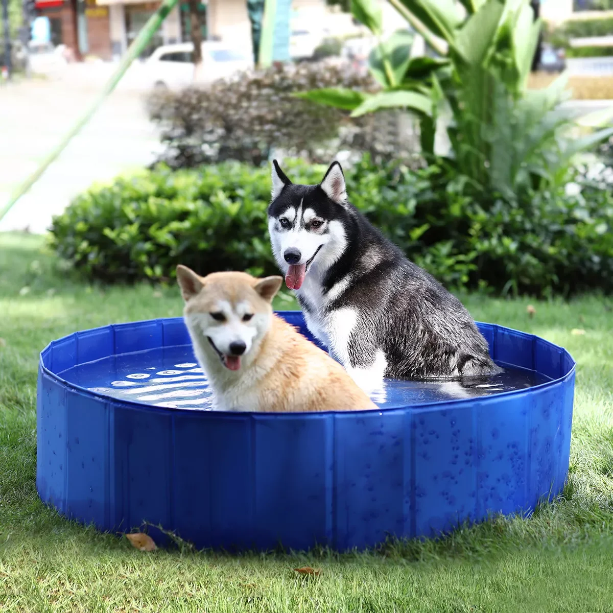 

Складной бассейн для домашних питомцев, ванна для купания на открытом воздухе и в помещении, разборное устройство для душа для собак и уток