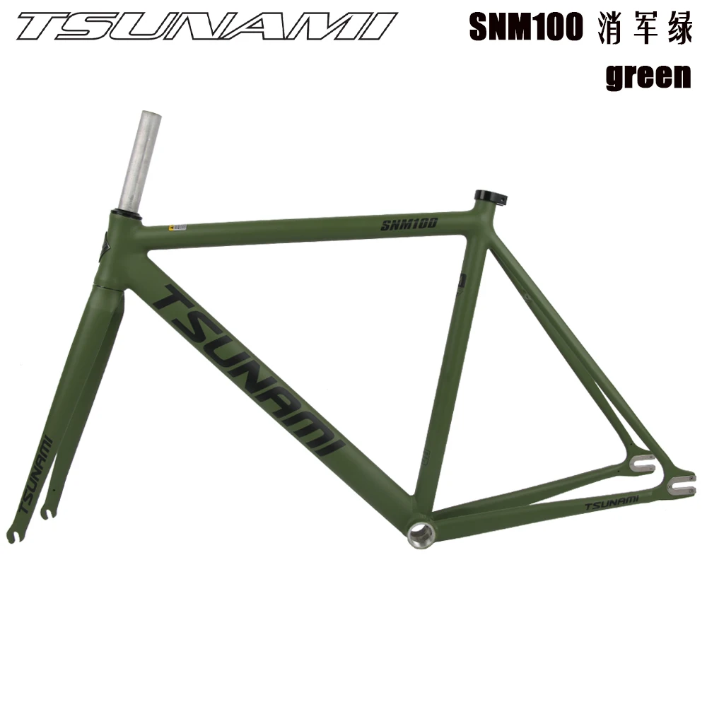 TSUNAMI SNM100 Chameleon 55CM　フレーム TSUNAMI SNM100 Chameleon 55CM フレーム Chameleon Frame