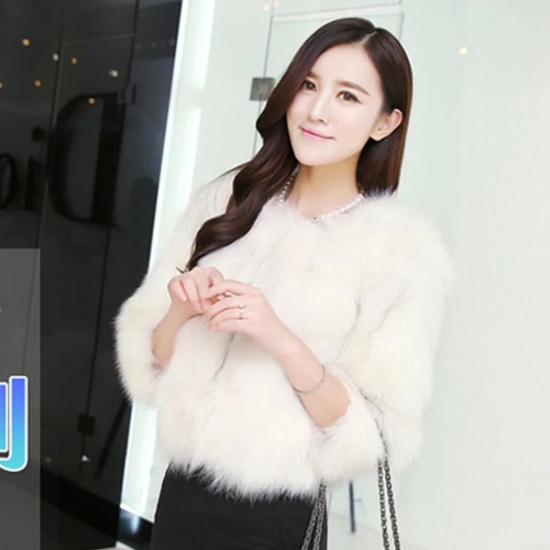 Autumn and Winter New Style Imitation Fox Fur Grass Short Coat Women's Fur Coat Slim, Fresh and Sweet Top