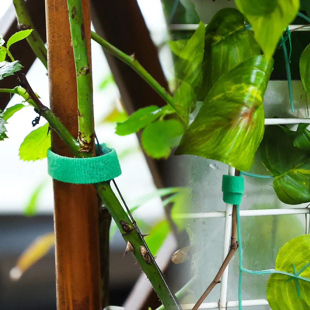 Многоразовые Кабельные стяжки самоклеящиеся крепежные для растений