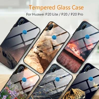 p20 lite case coque for huawei p30 lite p40lite case p30 pro tempered glass cover for huawei p20 pro lite 2019 silicone cases
