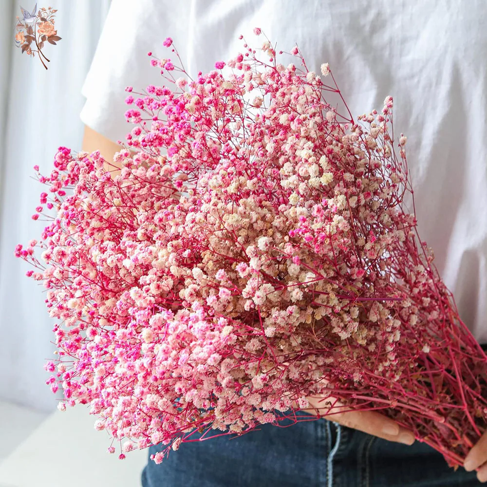 מאגר הקופונים הסודי של עליאקספרס! 300+ קופונים למוצרים מבוקשים! 1601 S3ea97696ce4143279a583d5141214bf1b