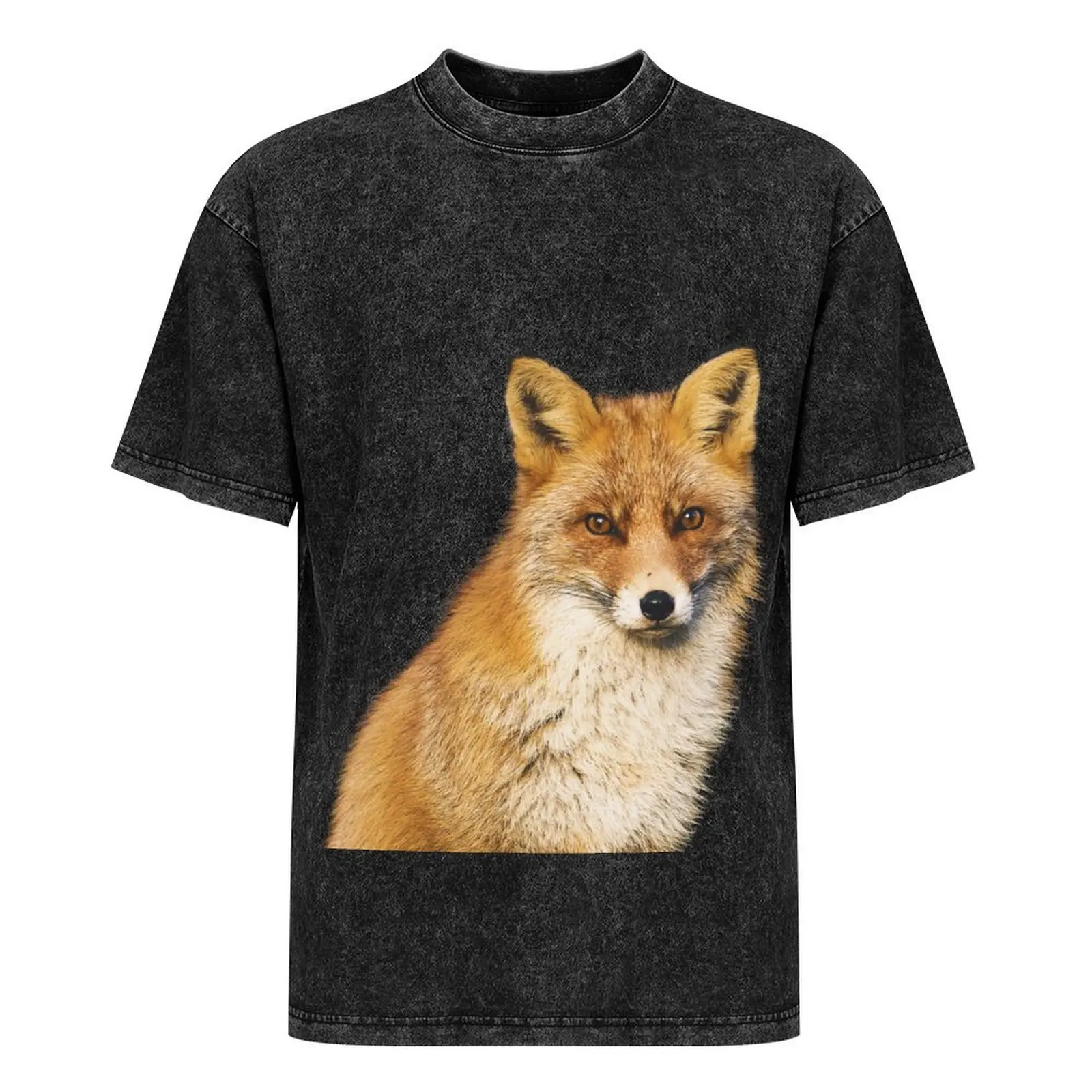 Футболка Sly Fox мужская хлопок