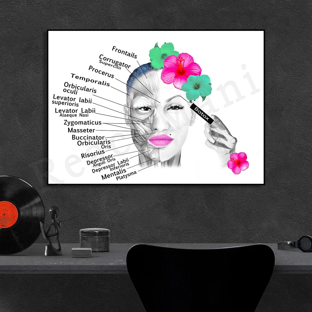 Постер анатомии лица мышцы и прожилки косметолог пластика хирурга массажный