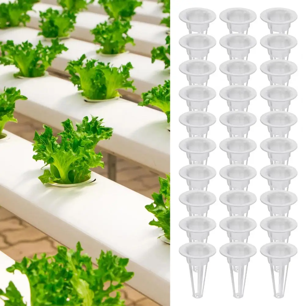 

1 Set Vegetable Planting Cup Good Toughness Practical Solid Construction Plant Grow Basket for Yard