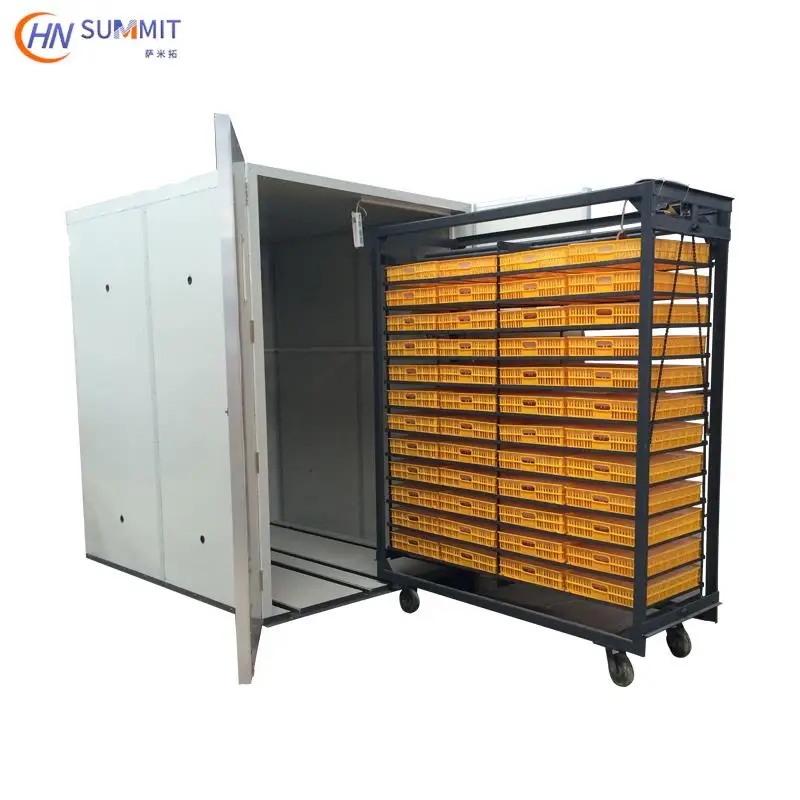 Рисунок 4 - Коммерческий автоматический инкубатор