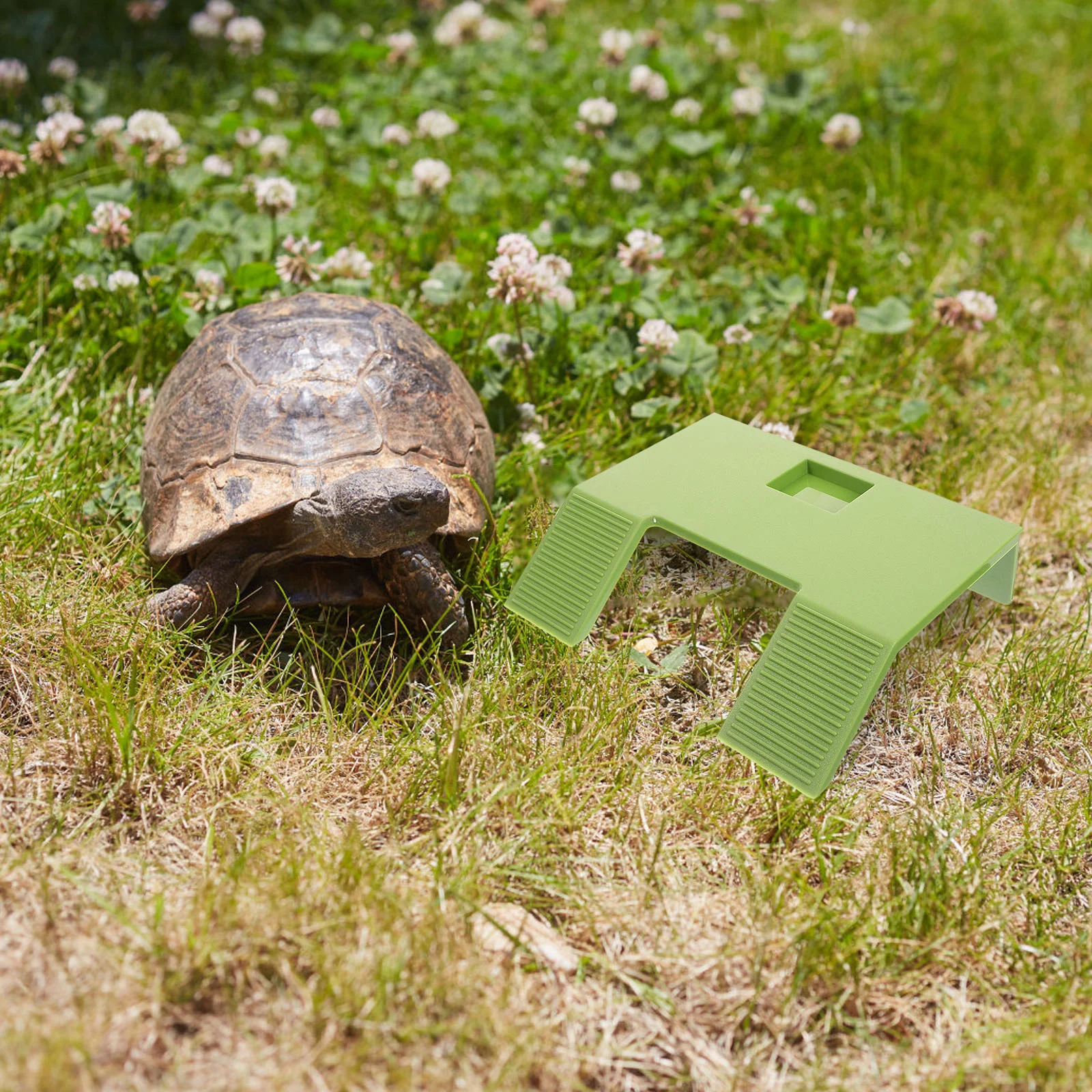 Подвесная платформа с изображением медвежьих черепашек летающая черепаха