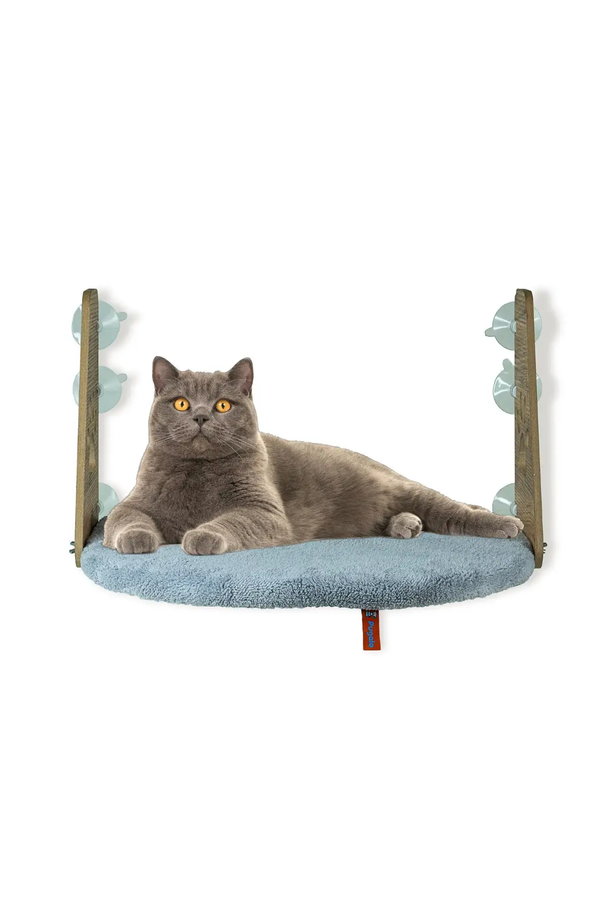

Glass Bed With Suction Cup Cat Glass Bed With Suction Cup Bed Gray