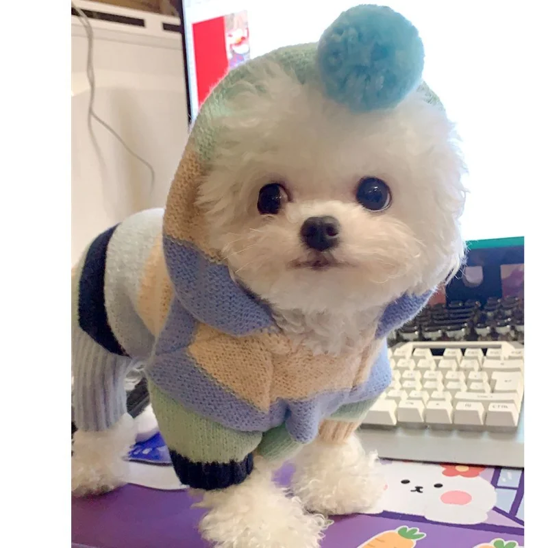 

Knitting Four-leg Sweater Pet Dog Clothes Colorful Cotton Dogs Clothing Cat Small Cute Autumn Winter Fashion Boy Girl Chihuahua