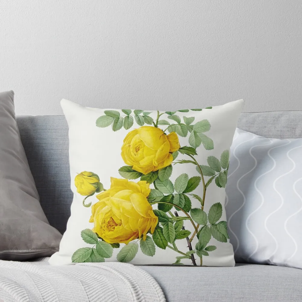 Диванная подушка для дивана с розой серы от Pierre-Иосифа в рулоне