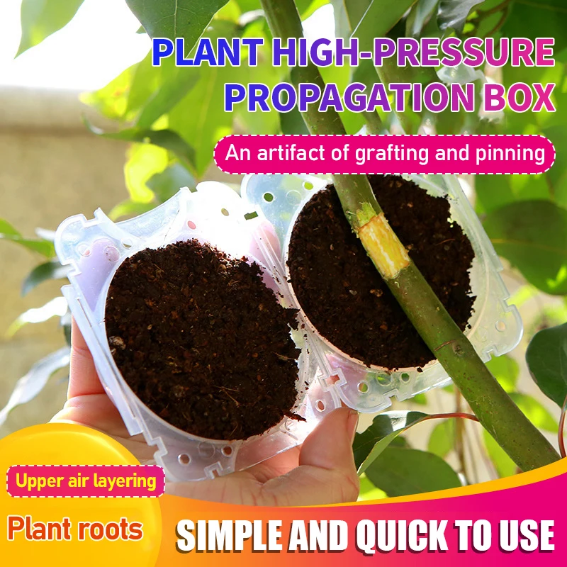 10Pcs(5/8/12cm) Plant Rooting Ball Grafting Rooting Growing Box Breeding Case Plant Root Growing Box for Garden Supplies