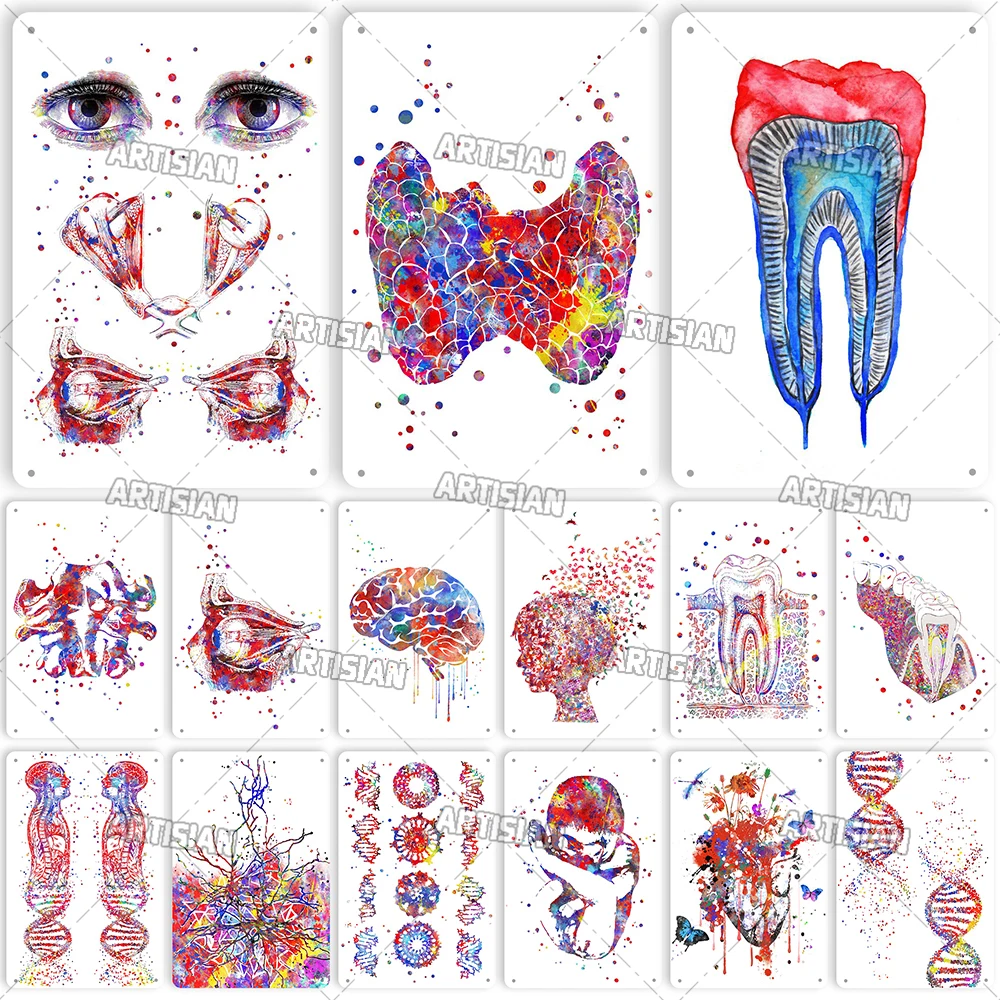 

Artisian medical Metal Poster Hospital Tin Plate Clinic Decorative Sign Organ Dentisit Anatomy Wall Decor Garage Bar Pub Club