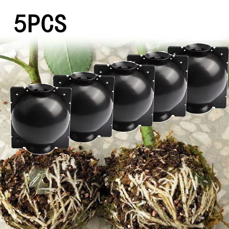 

1/5pc Plant Rooting Ball Grafting Rooting Growing Box Breeding Case for Garden Plant High-pressure Propagation Box Sapling2020