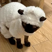 Костюмчик для питомца #4