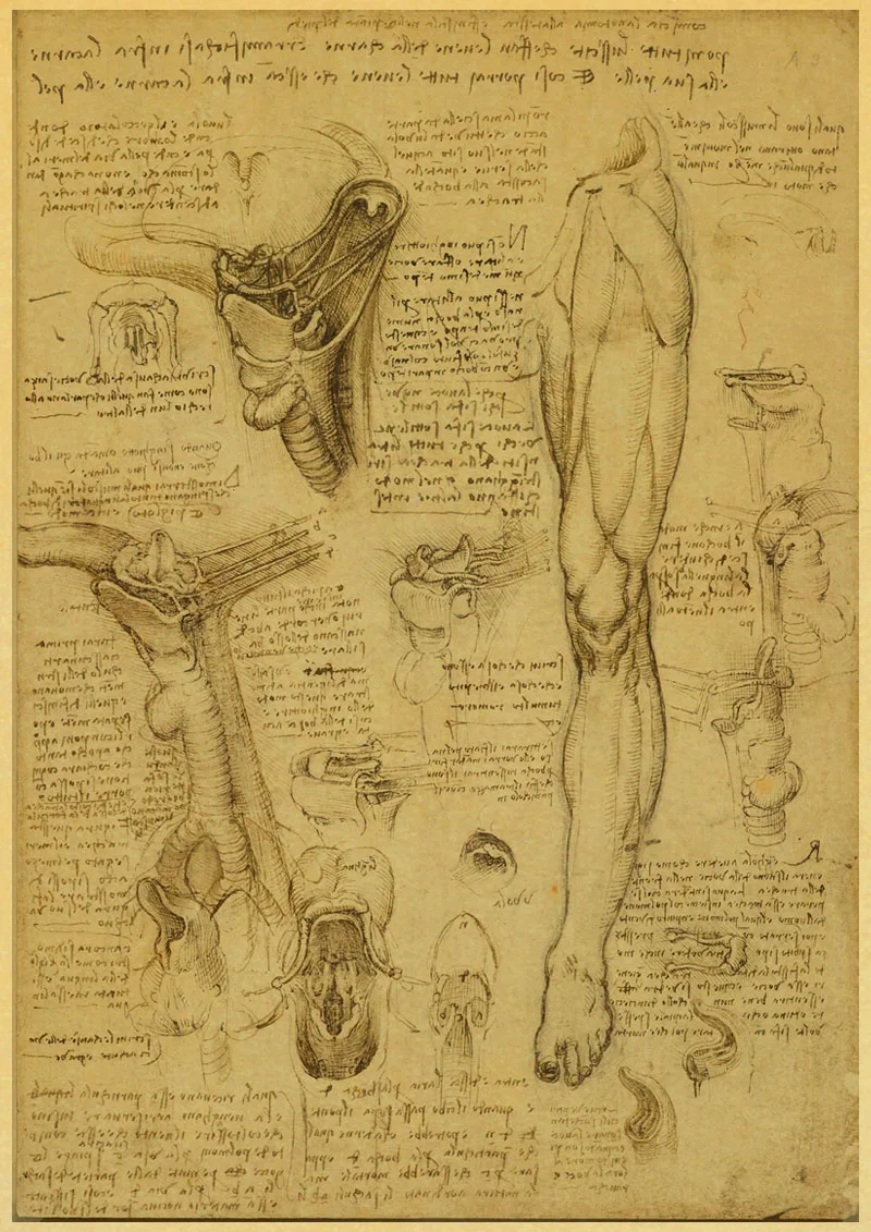 Фигурка да Винчи коллекция человеческих эскизов крафт-бумага принты высокое