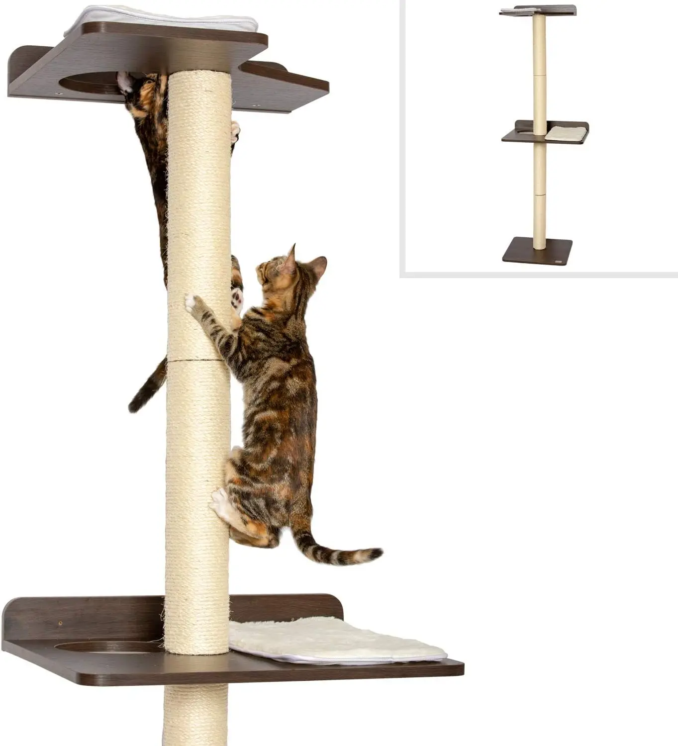 

Ultimate Cat Climbing Tower & Activity Tree. (24 x 20.8 x 76.8 inches (lwh) Tall Sisal Scratching Posts, Modern Mounted cat
