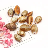 natural shell beads coffee sea snail bead ornament charms for jewelry making necklace bracelet gift accessories decoration