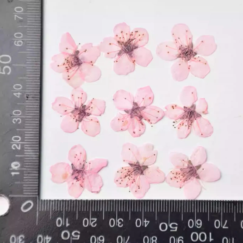 Сухие лепестки персика NYAConfetti 12 шт