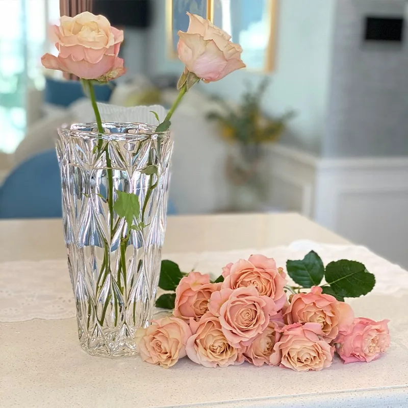 

Nordic Transparent Glass Vase Living Room Dry Flower Vases Decoratives For Homes Decoration Bedroom Decor