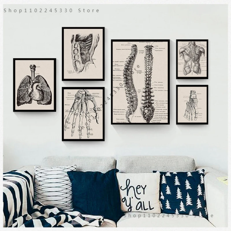 

Canvas Painting Nordic Posters And Prints Wall Pictures Anatomy skeleton Patent Vintage Poster Wall Art Print Living Room Decor