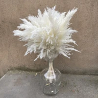 10 stems white color large size real dried pampas grass wedding decor flower bunch natural plants home decor fall decor