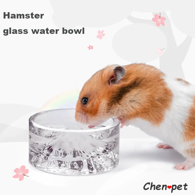 

Special Chinchillas Feeder Hamster Guinea Supplies Design Glass Pig Mountain Small Fuji Water Accessories For Pet Water Bottle