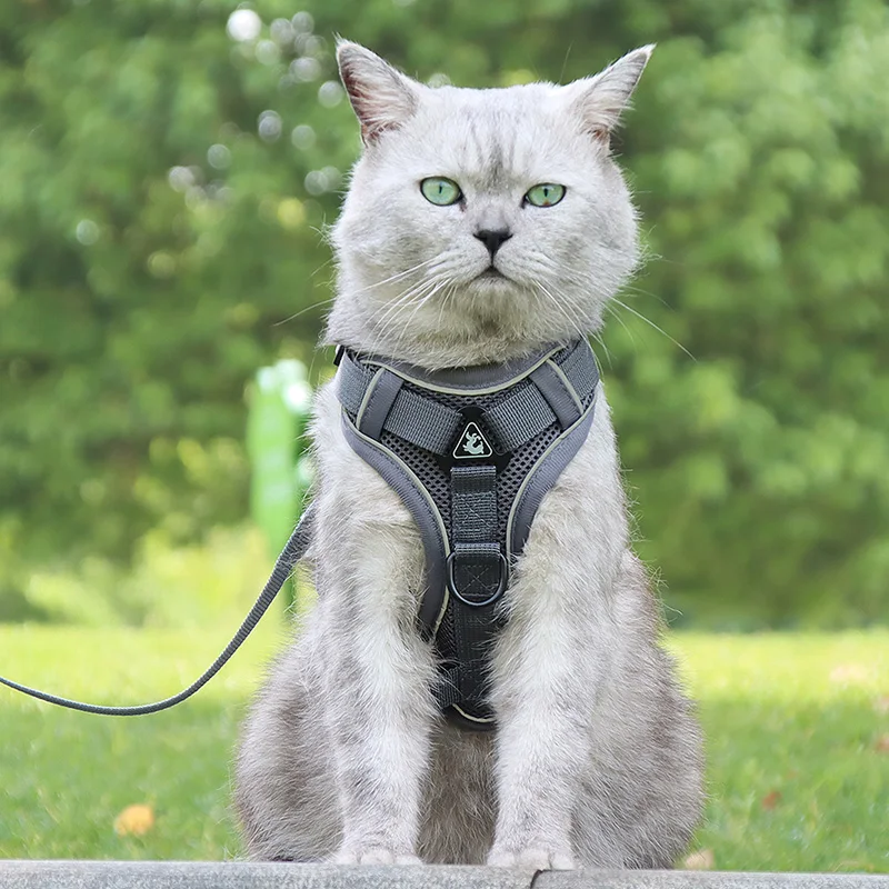 

Cat Dog Harness and Leash Set Adjustable Walking Harnesses Vest Traction Belt Anti-breakaway Cat Rope Silver for Small Dogs Cats
