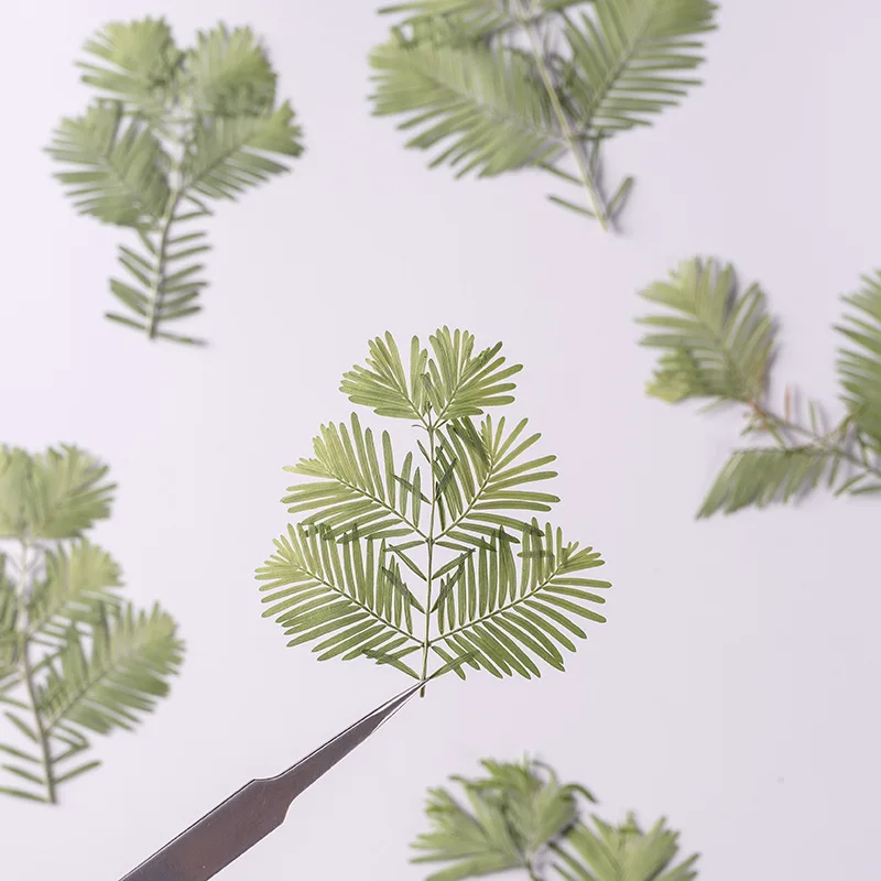 24 шт., натуральные зернистые листья с ветками