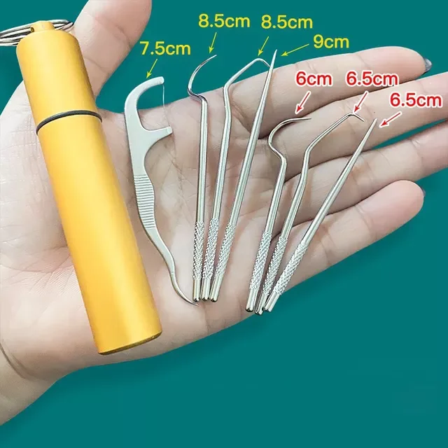

Set Toothpick Set Metal Stainless Steel Cleaning Tooth Flossing Portable Toothpick Floss Teeth Cleaner with Storage Tube
