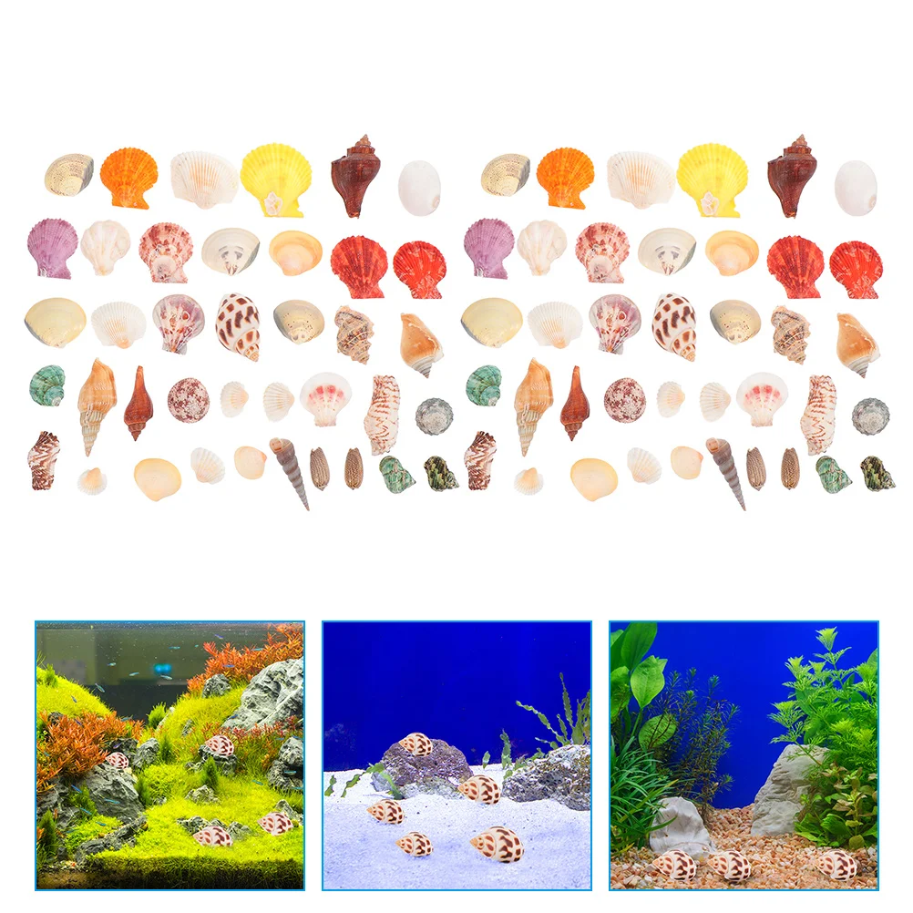 

160Pcs Hermit Crab Shells Natural Shells Crafts Delicate Conch Ornaments Fish Tank Shells Decors